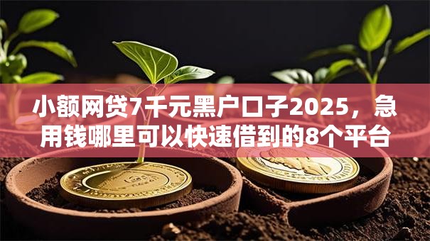 小额网贷7千元黑户口子2025,急用钱哪里可以快速借到的8个平台介绍 小额网贷7千元黑户口子2025,急用钱哪里可以快速借到的8个平台介绍
