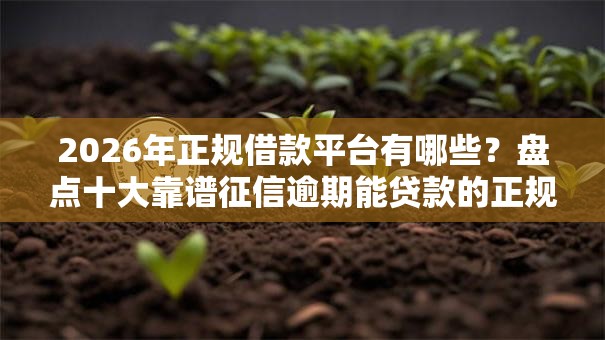 2026年正规借款平台有哪些？盘点十大靠谱征信逾期能贷款的正规平台