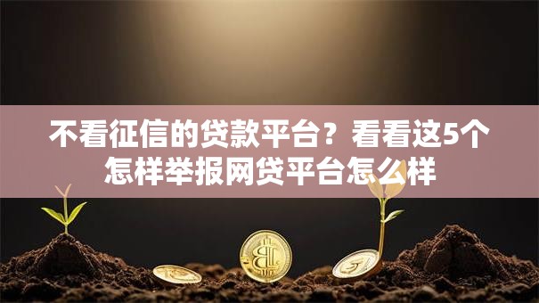 不看征信的贷款平台?看看这5个怎样举报网贷平台怎么样 不看征信的贷款平台?看看这5个怎样举报网贷平台怎么样