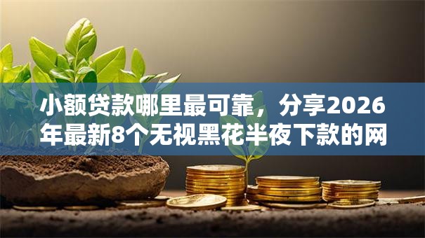 小额贷款哪里最可靠,分享2026年最新8个无视黑花半夜下款的网贷软件 小额贷款哪里最可靠,分享2026年最新8个无视黑花半夜下款的网贷软件