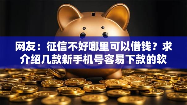网友：征信不好哪里可以借钱？求介绍几款新手机号容易下款的软件