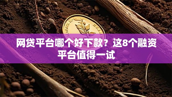 网贷平台哪个好下款？这8个融资平台值得一试