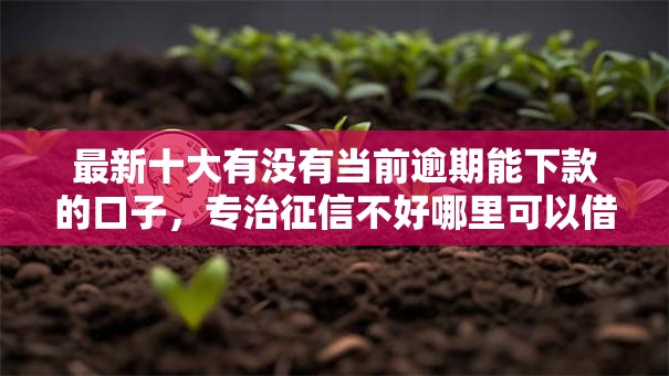 最新十大有没有当前逾期能下款的口子,专治征信不好哪里可以借钱 最新十大有没有当前逾期能下款的口子,专治征信不好哪里可以借钱