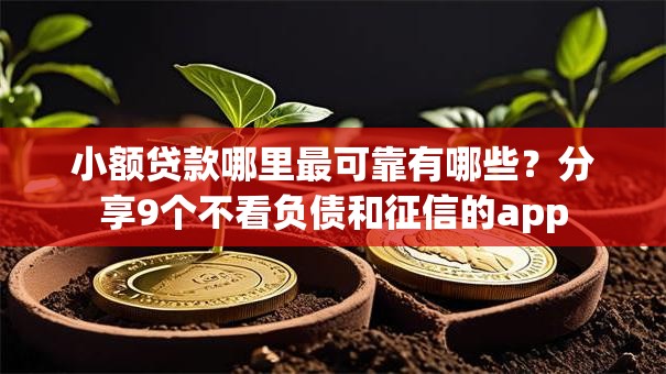 小额贷款哪里最可靠有哪些？分享9个不看负债和征信的app