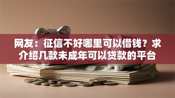 网友:征信不好哪里可以借钱?求介绍几款未成年可以贷款的平台 网友:征信不好哪里可以借钱?求介绍几款未成年可以贷款的平台