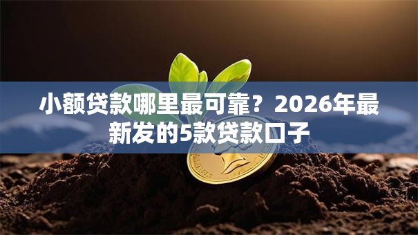 小额贷款哪里最可靠?2026年最新发的5款贷款口子 小额贷款哪里最可靠?2026年最新发的5款贷款口子