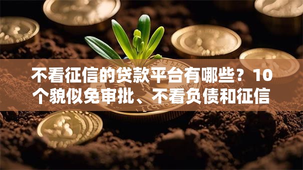 不看征信的贷款平台有哪些？10个貌似免审批、不看负债和征信的口子合集