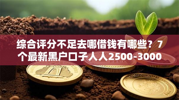 综合评分不足去哪借钱有哪些？7个最新黑户口子人人2500-3000推荐给你