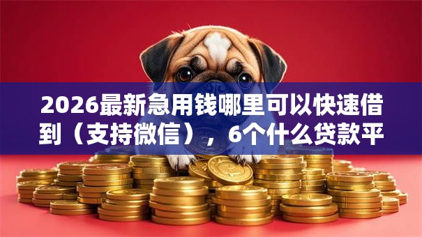 2026最新急用钱哪里可以快速借到（支持微信），6个什么贷款平台利息低无私分享