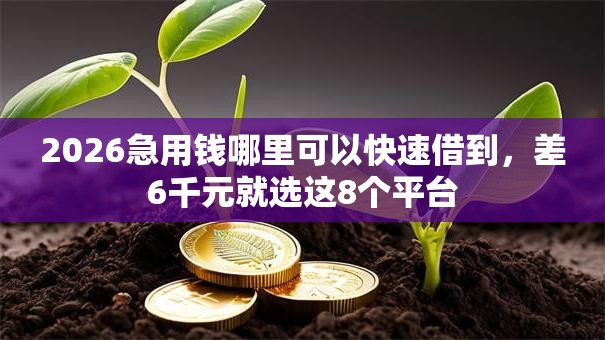 2026急用钱哪里可以快速借到，差6千元就选这8个平台