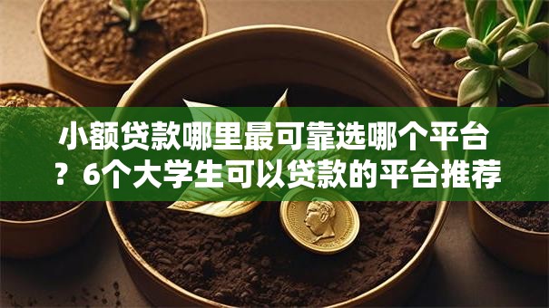 小额贷款哪里最可靠选哪个平台?6个大学生可以贷款的平台推荐 小额贷款哪里最可靠选哪个平台?6个大学生可以贷款的平台推荐