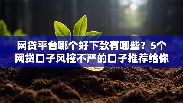 网贷平台哪个好下款有哪些?5个网贷口子风控不严的口子推荐给你 网贷平台哪个好下款有哪些?5个网贷口子风控不严的口子推荐给你