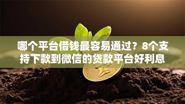 哪个平台借钱最容易通过？8个支持下款到微信的贷款平台好利息低