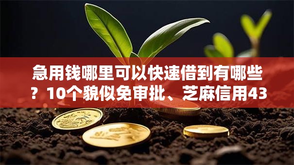 急用钱哪里可以快速借到有哪些？10个貌似免审批、芝麻信用439分下款的软件合集
