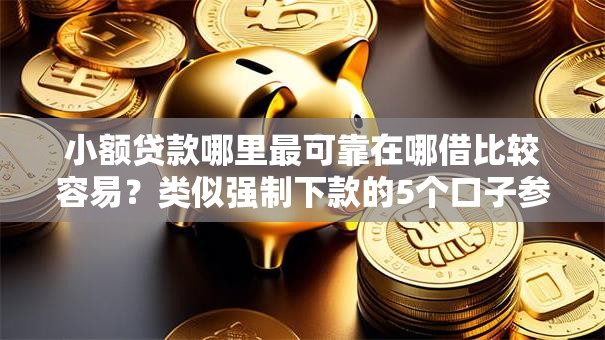 小额贷款哪里最可靠在哪借比较容易？类似强制下款的5个口子参考