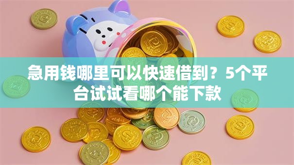 急用钱哪里可以快速借到？5个平台试试看哪个能下款