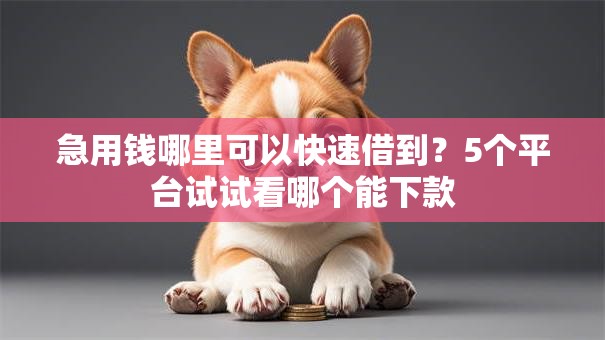 急用钱哪里可以快速借到?5个平台试试看哪个能下款 急用钱哪里可以快速借到?5个平台试试看哪个能下款