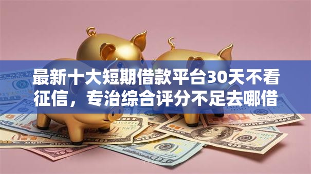 最新十大短期借款平台30天不看征信，专治综合评分不足去哪借钱
