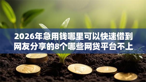 2026年急用钱哪里可以快速借到网友分享的8个哪些网贷平台不上征信我觉得不错! 2026年急用钱哪里可以快速借到网友分享的8个哪些网贷平台不上征信我觉得不错!