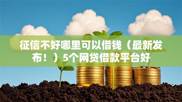 征信不好哪里可以借钱(最新发布!)5个网贷借款平台好 征信不好哪里可以借钱(最新发布!)5个网贷借款平台好