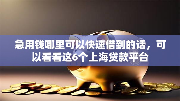 急用钱哪里可以快速借到的话,可以看看这6个上海贷款平台 急用钱哪里可以快速借到的话,可以看看这6个上海贷款平台