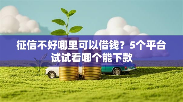 征信不好哪里可以借钱？5个平台试试看哪个能下款