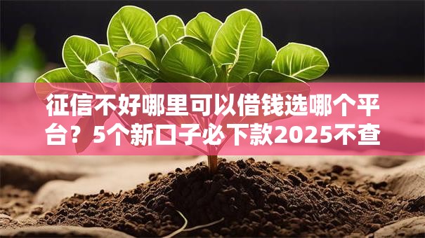 征信不好哪里可以借钱选哪个平台?5个新口子必下款2025不查征信推荐 征信不好哪里可以借钱选哪个平台?5个新口子必下款2025不查征信推荐