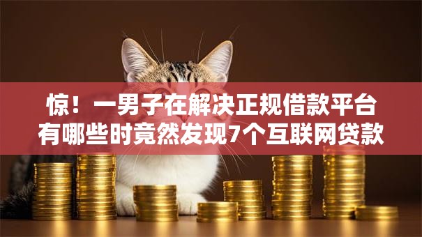 惊！一男子在解决正规借款平台有哪些时竟然发现7个互联网贷款平台，事后分享了出来