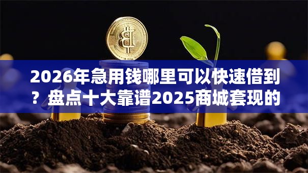 2026年急用钱哪里可以快速借到？盘点十大靠谱2025商城套现的口子都有什么