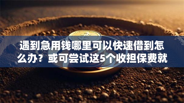 遇到急用钱哪里可以快速借到怎么办?或可尝试这5个收担保费就能下款的口子 遇到急用钱哪里可以快速借到怎么办?或可尝试这5个收担保费就能下款的口子