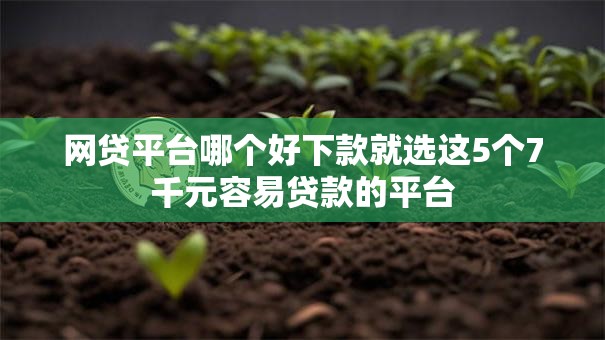 网贷平台哪个好下款就选这5个7千元容易贷款的平台 网贷平台哪个好下款就选这5个7千元容易贷款的平台