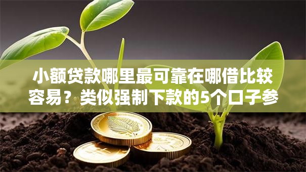 小额贷款哪里最可靠在哪借比较容易?类似强制下款的5个口子参考 小额贷款哪里最可靠在哪借比较容易?类似强制下款的5个口子参考