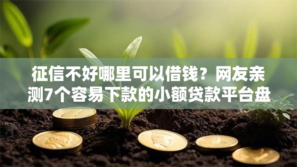 征信不好哪里可以借钱?网友亲测7个容易下款的小额贷款平台盘点 征信不好哪里可以借钱?网友亲测7个容易下款的小额贷款平台盘点