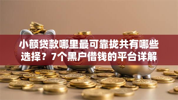 小额贷款哪里最可靠拢共有哪些选择?7个黑户借钱的平台详解 小额贷款哪里最可靠拢共有哪些选择?7个黑户借钱的平台详解