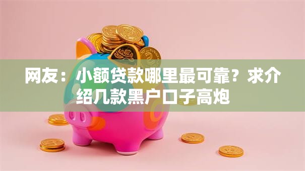 网友：小额贷款哪里最可靠？求介绍几款黑户口子高炮