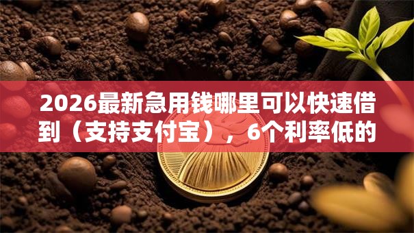 2026最新急用钱哪里可以快速借到（支持支付宝），6个利率低的贷款平台无私分享
