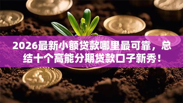 2026最新小额贷款哪里最可靠，总结十个高能分期贷款口子新秀！