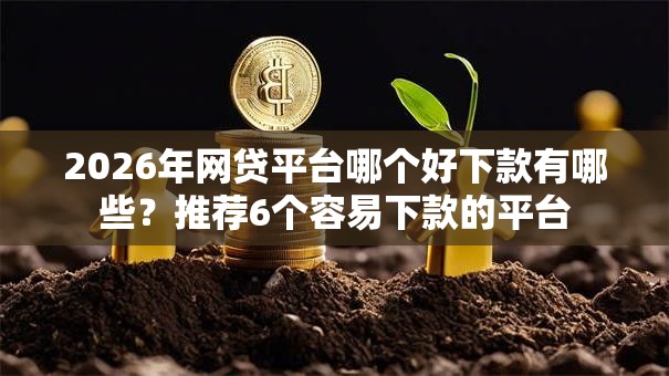 2026年网贷平台哪个好下款有哪些？推荐6个容易下款的平台