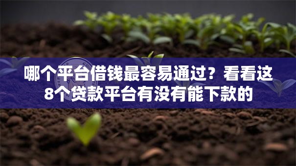 哪个平台借钱最容易通过?看看这8个贷款平台有没有能下款的 哪个平台借钱最容易通过?看看这8个贷款平台有没有能下款的