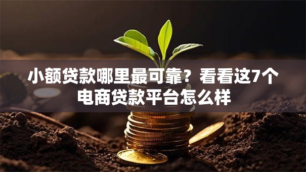 小额贷款哪里最可靠?看看这7个电商贷款平台怎么样 小额贷款哪里最可靠?看看这7个电商贷款平台怎么样