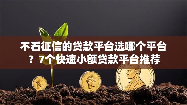 不看征信的贷款平台选哪个平台？7个快速小额贷款平台推荐