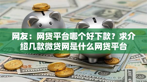 网友:网贷平台哪个好下款?求介绍几款微贷网是什么网贷平台 网友:网贷平台哪个好下款?求介绍几款微贷网是什么网贷平台