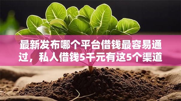 最新发布哪个平台借钱最容易通过，私人借钱5千元有这5个渠道