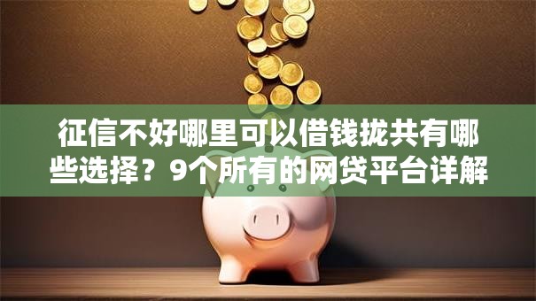 征信不好哪里可以借钱拢共有哪些选择?9个所有的网贷平台详解 征信不好哪里可以借钱拢共有哪些选择?9个所有的网贷平台详解