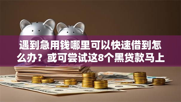 遇到急用钱哪里可以快速借到怎么办?或可尝试这8个黑贷款马上下款的口子 遇到急用钱哪里可以快速借到怎么办?或可尝试这8个黑贷款马上下款的口子