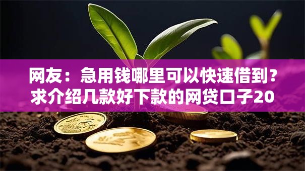 网友:急用钱哪里可以快速借到?求介绍几款好下款的网贷口子2025 网友:急用钱哪里可以快速借到?求介绍几款好下款的网贷口子2025