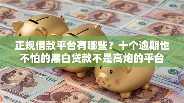 正规借款平台有哪些?十个逾期也不怕的黑白贷款不是高炮的平台 正规借款平台有哪些?十个逾期也不怕的黑白贷款不是高炮的平台