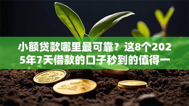 小额贷款哪里最可靠?这8个2025年7天借款的口子秒到的值得一试 小额贷款哪里最可靠?这8个2025年7天借款的口子秒到的值得一试