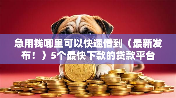 急用钱哪里可以快速借到（最新发布！）5个最快下款的贷款平台