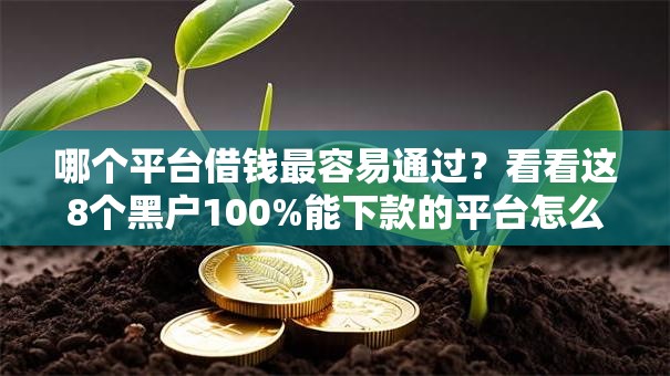 哪个平台借钱最容易通过?看看这8个黑户100%能下款的平台怎么样 哪个平台借钱最容易通过?看看这8个黑户100%能下款的平台怎么样